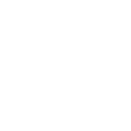 CS ISIMM Logo (white)